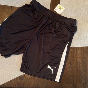 NWT puma shorts, size medium